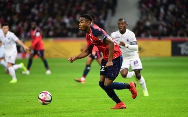 仿佛是共同 仿佛是共同